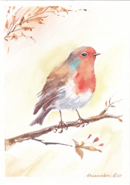 The bird