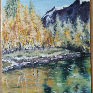 Yosemite in summer